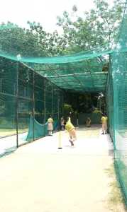 Cricket 2